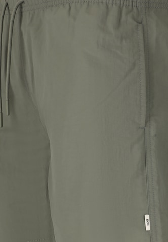 NOU Boardshorts 'Eyemouth V2' in Grün