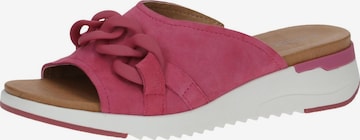 CAPRICE Mules in Pink: front