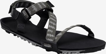 Xero Shoes Sandale in Grün: predná strana
