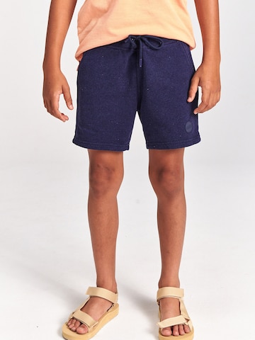 regular Pantaloni di Shiwi in blu