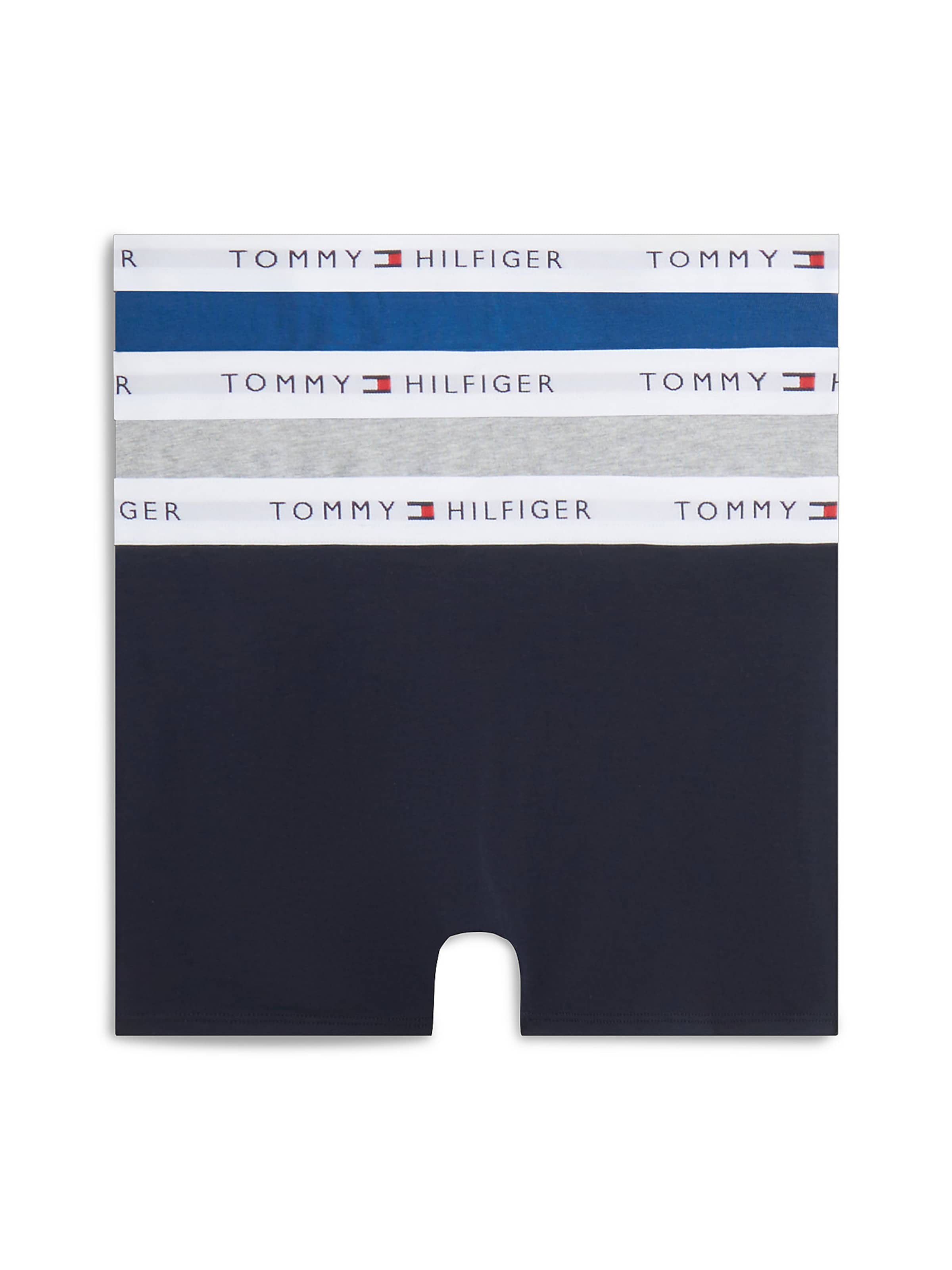 Sous-vêtements Tommy Hilfiger Underwear en bleu