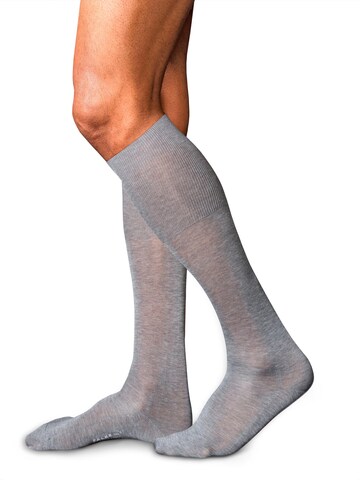 FALKE Knee High Socks 'No. 9 Pure Fil d´Écosse' in Grey