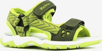 RICHTER Sandals & Slippers in Green
