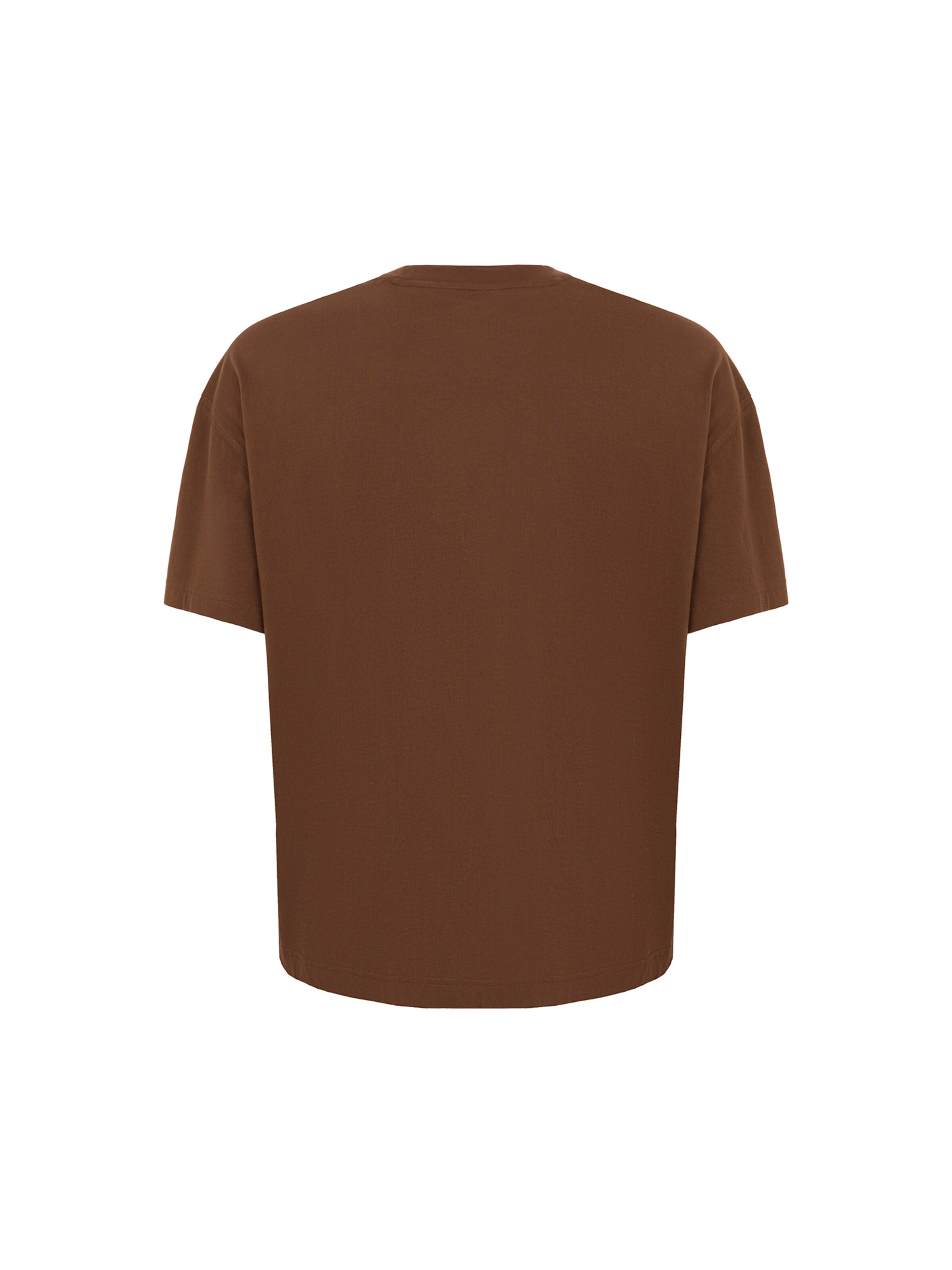 DICKIES - Camiseta 'Torrey' en marrón