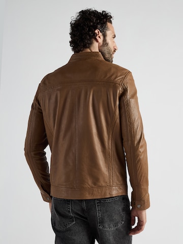 JCC Tussenjas in Bruin