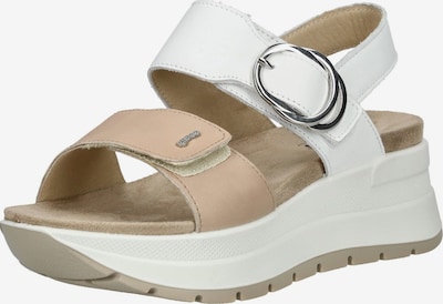 IGI&CO Sandale in beige / weiß, Produktansicht