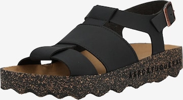 Sandales Asportuguesas en noir : devant