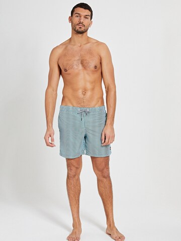 Shiwi Swimming shorts in Green