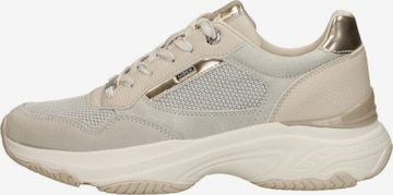 Baskets basses 'Radja Pax' MEXX en beige : devant