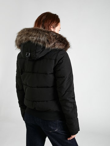 Superdry Winterjas 'Everest' in Zwart