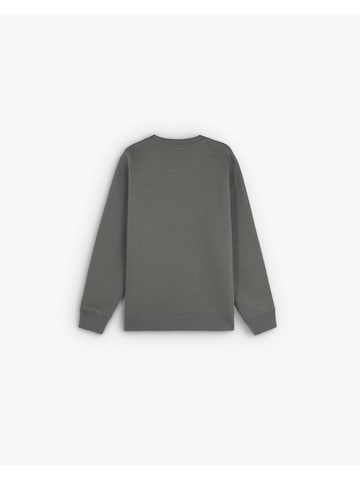 Scalpers Sweatshirt 'Racesw' i grön