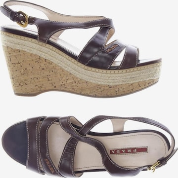 PRADA Sandals & High-Heeled Sandals in 36 in Brown: front