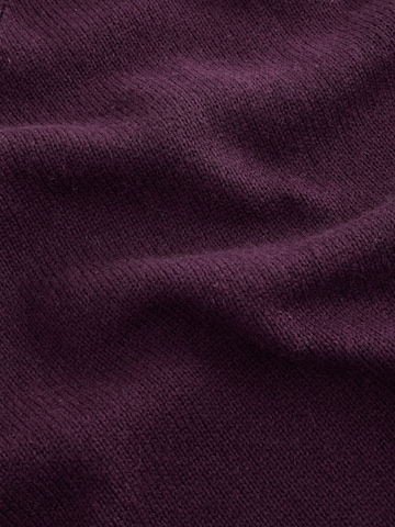 Pull-over 'N. Premium' Next en rouge
