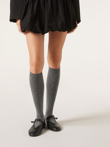CALZEDONIA Socken in Grau: Vorderseite