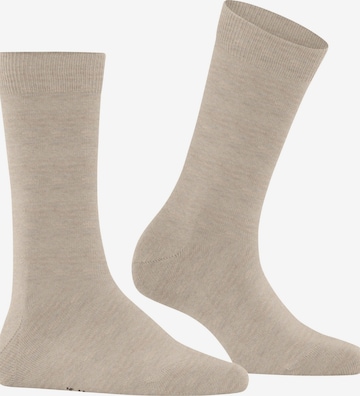 FALKE Socks 'Family' in Beige: front