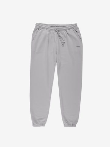 Prosto Regular Workout Pants in Grey: front