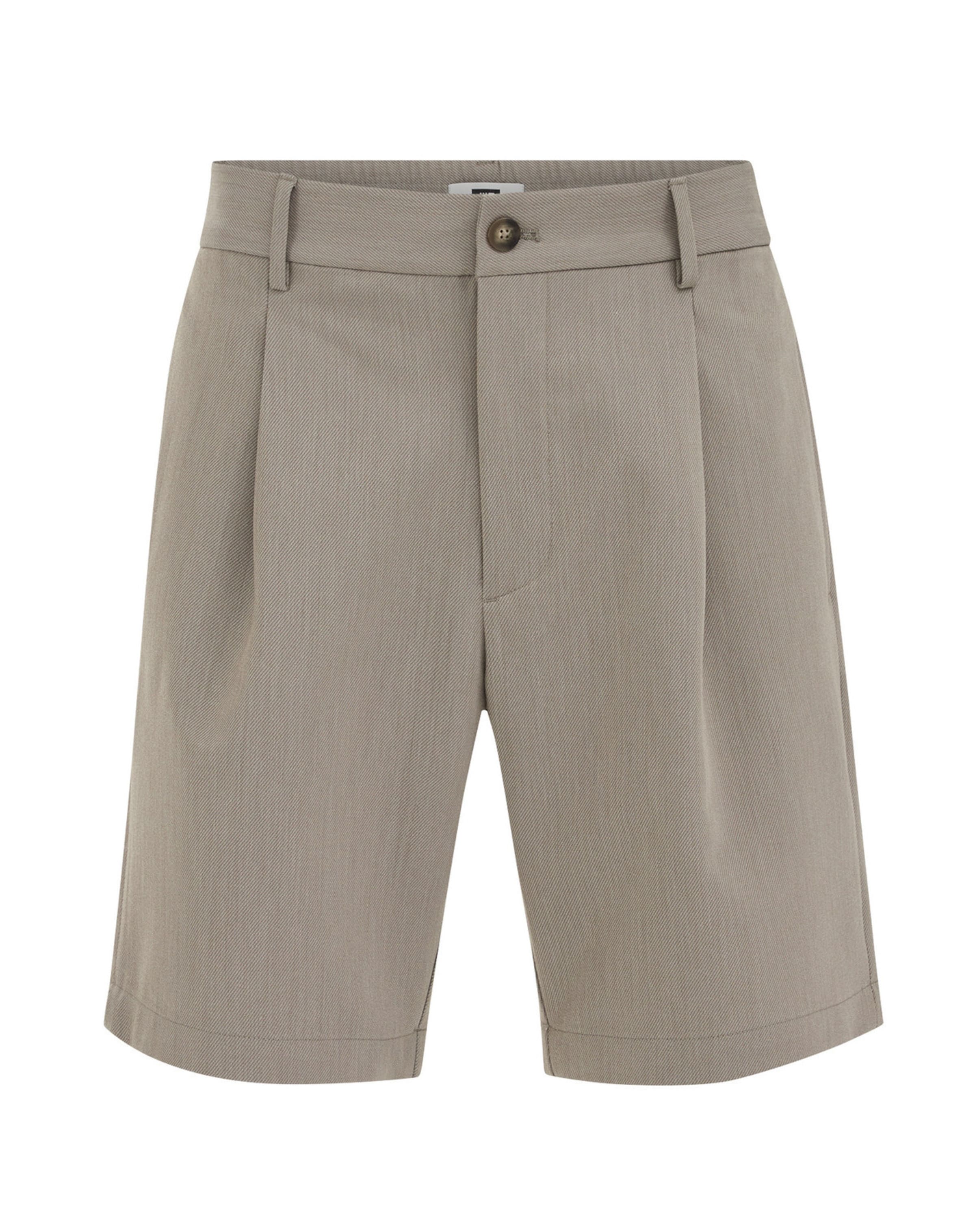 WE Fashion Свободный крой Брюки со складками в Серый: спереди