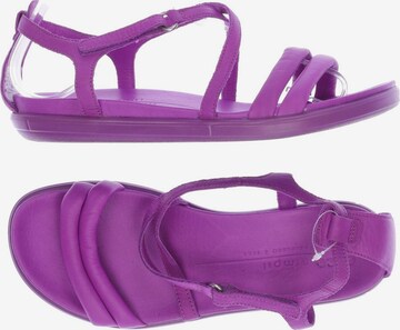 ECCO Sandals & High-Heeled Sandals in 38 in Purple: front