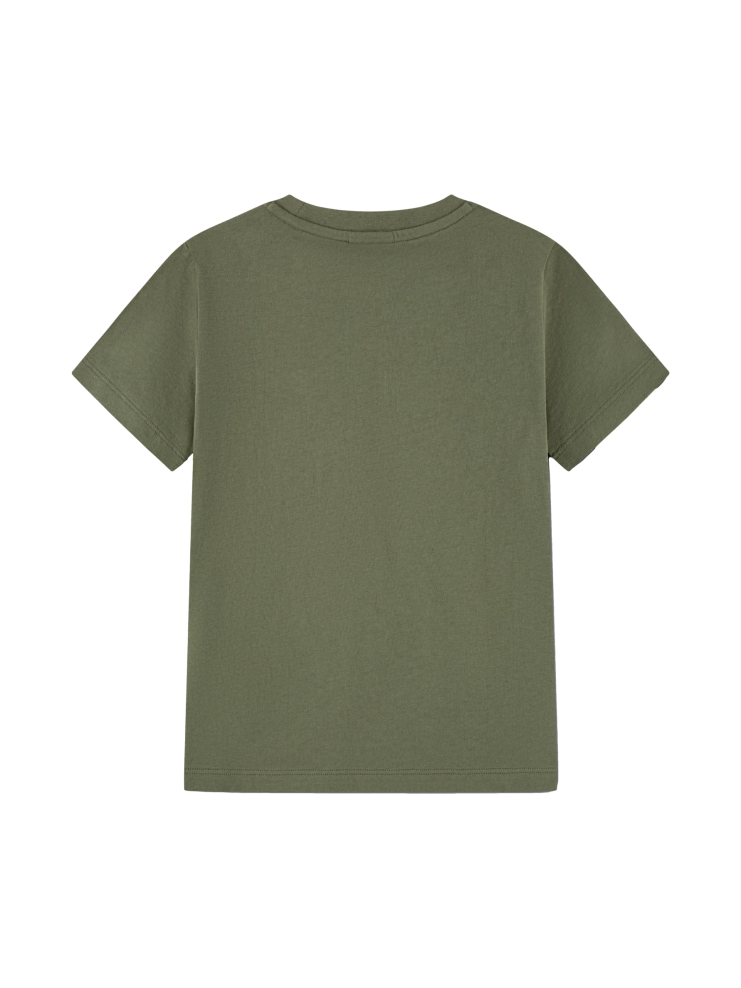 LACOSTE Shirt in Groen