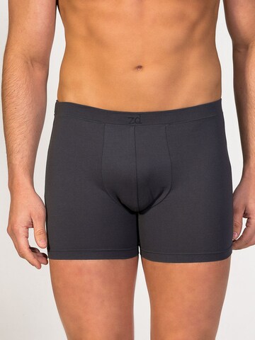 zd ZERO DEFECTS Boxer shorts 'Breno MicroModal® Boxer' in Grey: front