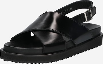 ANGULUS Sandals in Black: front