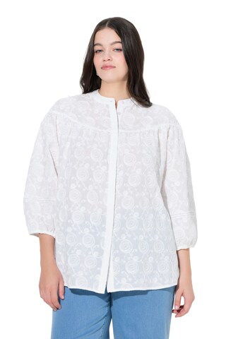 Ulla Popken Bluse in Weiß: Vorderseite