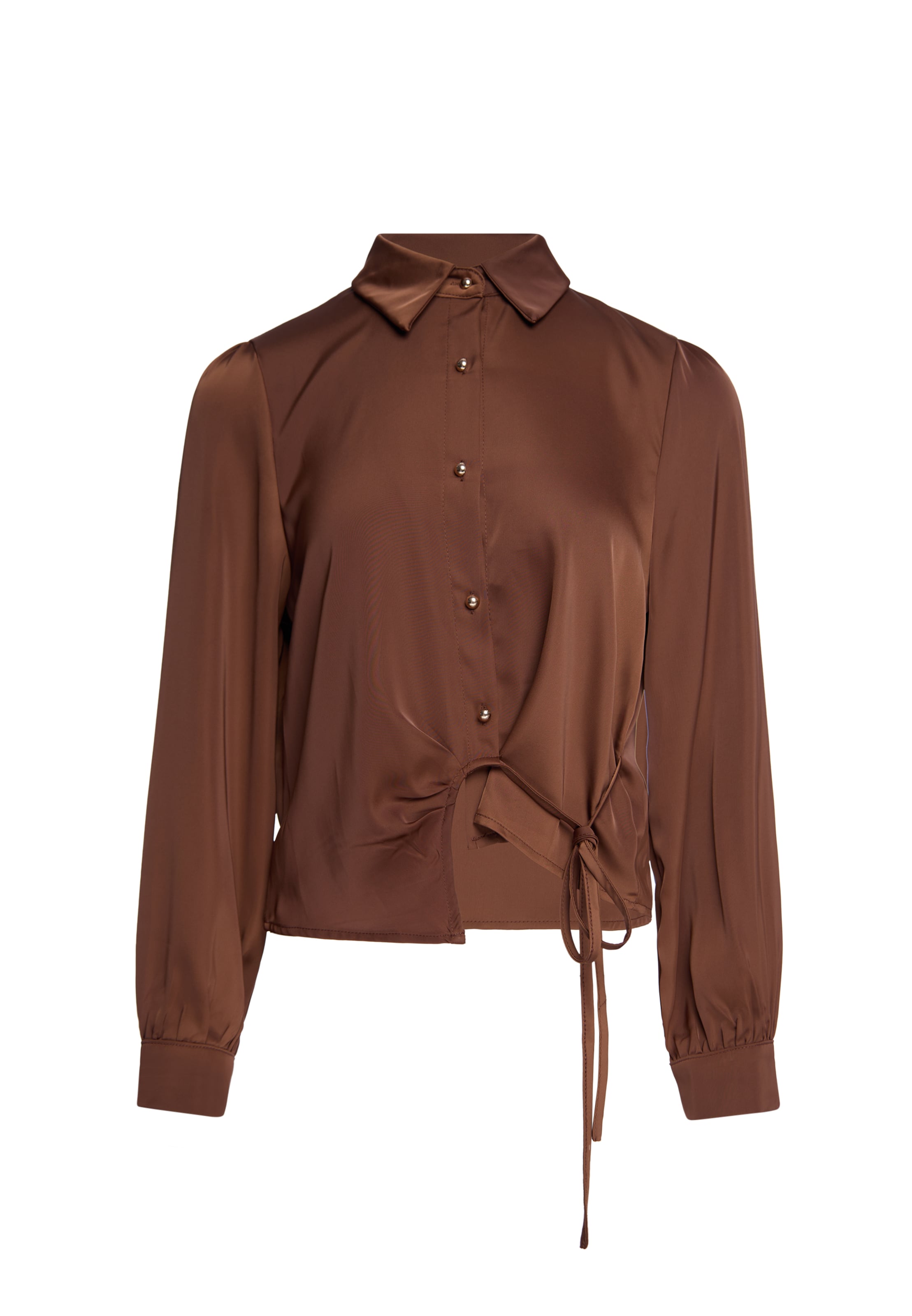 usha BLACK LABEL Blouse in S in Brown, Item view