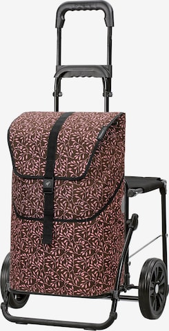 Trolley 'Imea' di Andersen Shopper in rosa: frontale