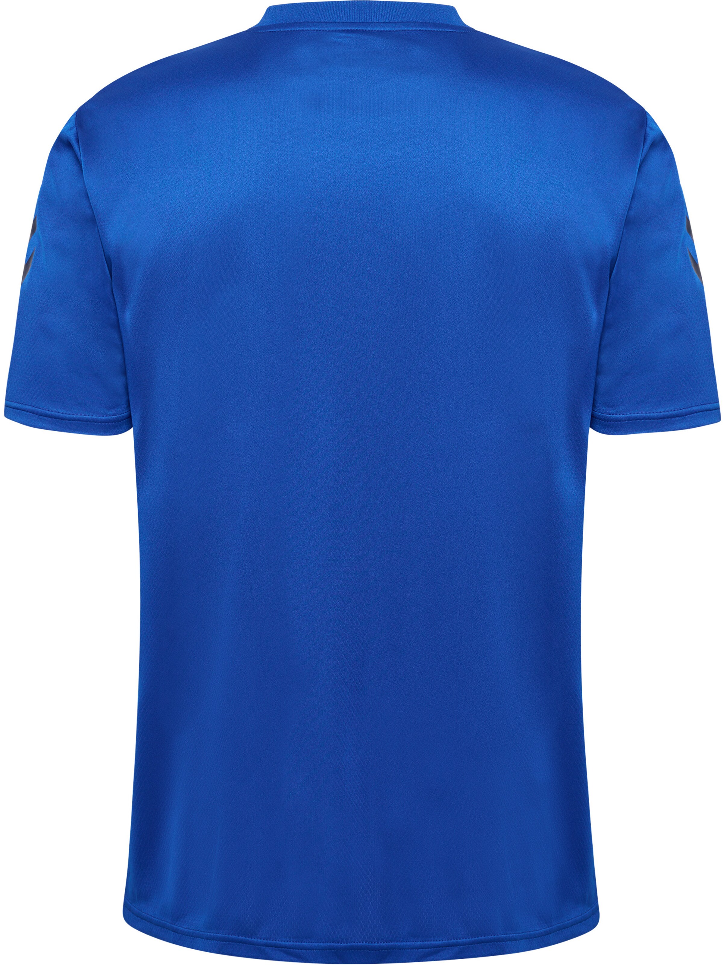 Hummel Functioneel shirt 'ACTIVE' in Blauw