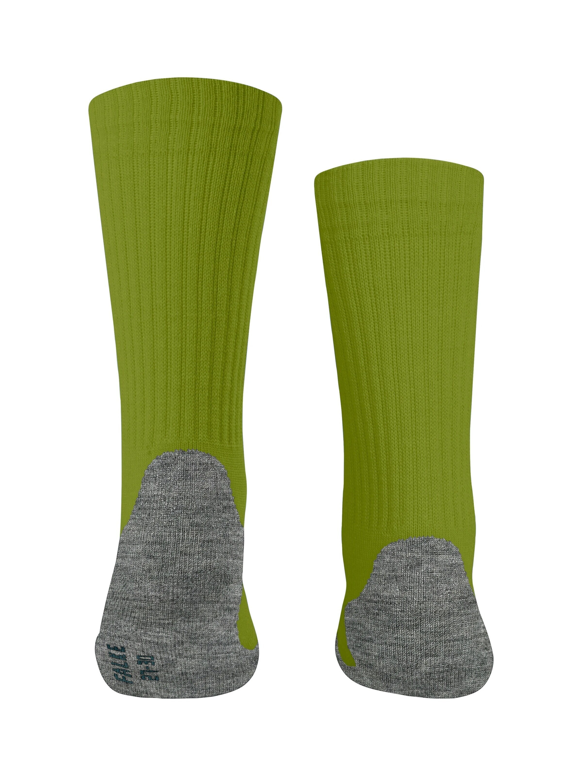 FALKE Socks 'Active Warm' in Green