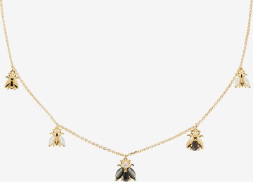 P D PAOLA Necklace in Gold: front