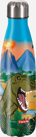 STEP BY STEP Drinkfles in Gemengde kleuren: voorkant