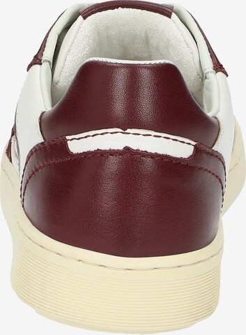 SIOUX Sneaker 'Tedroso-DA-700' in Rot