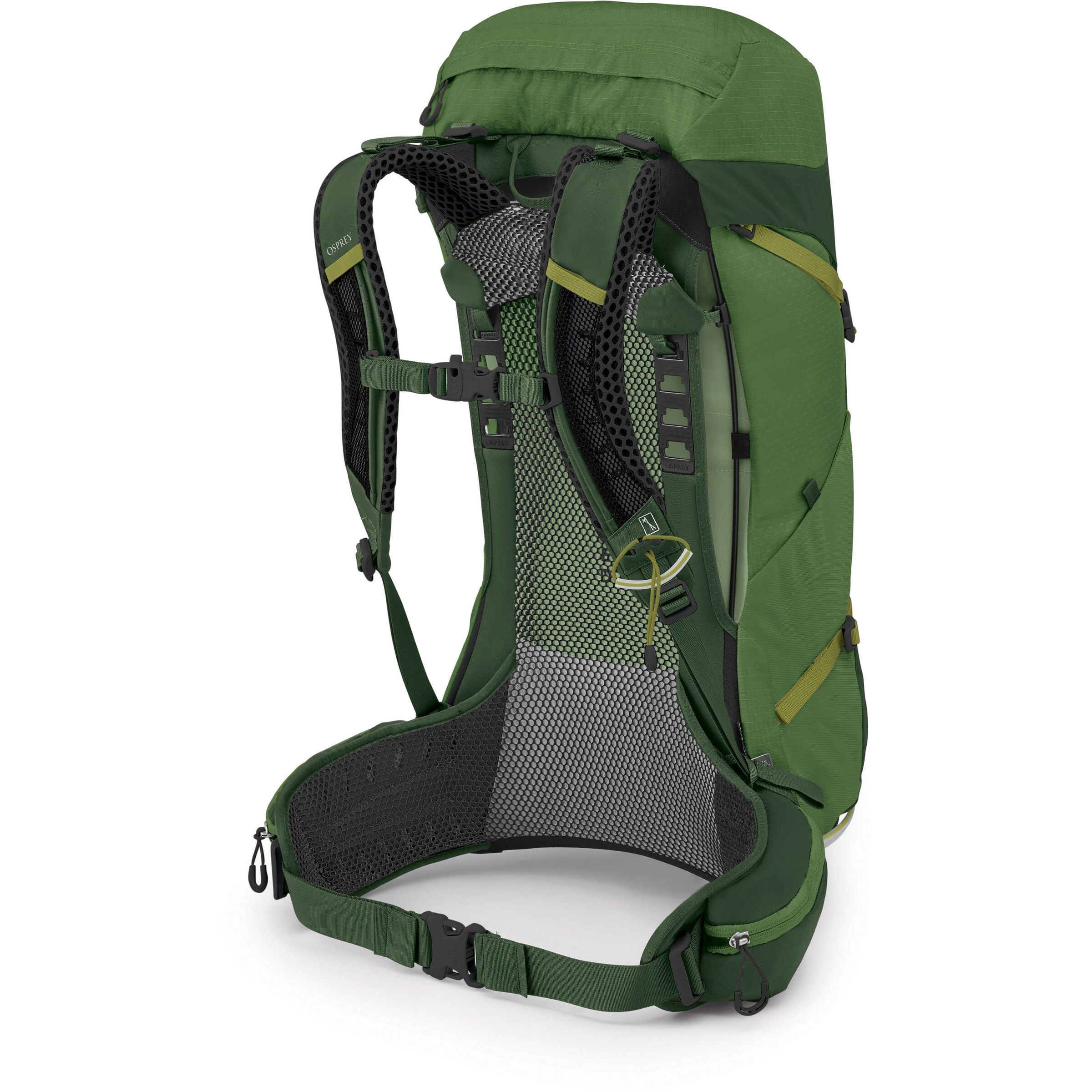 Osprey Sportrucksack in Grün