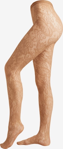 CALZEDONIA Tights in Beige: front
