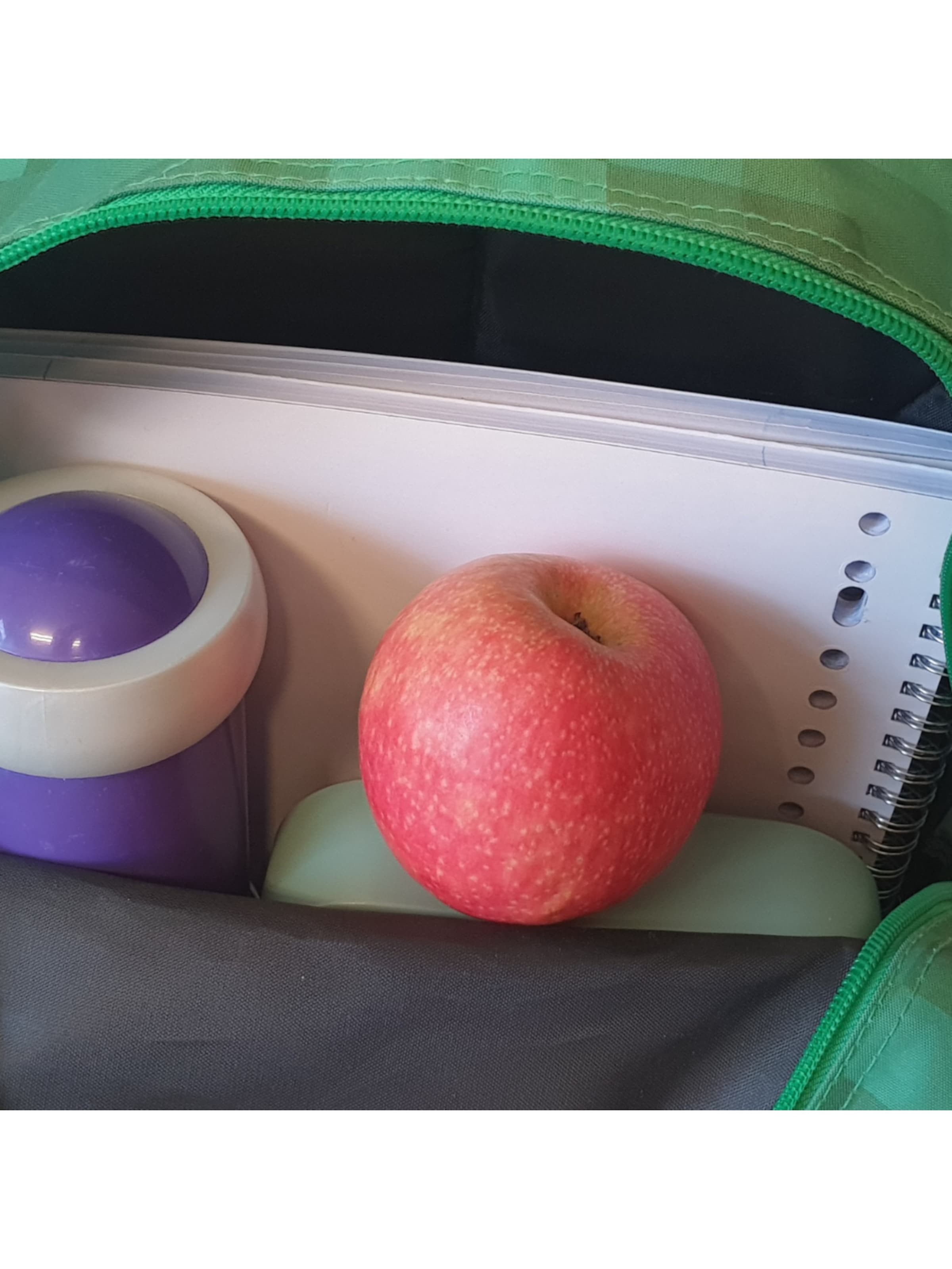 Minecraft Backpack 'Minecraft Creeper Backpack' in Green