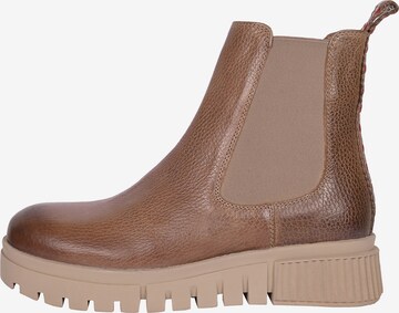 Crickit Chelsea boots in Bruin