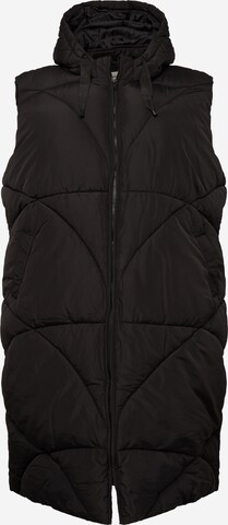 Dorothy Perkins Curve Vest in Black: front