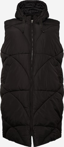 Gilet Dorothy Perkins Curve en noir : devant