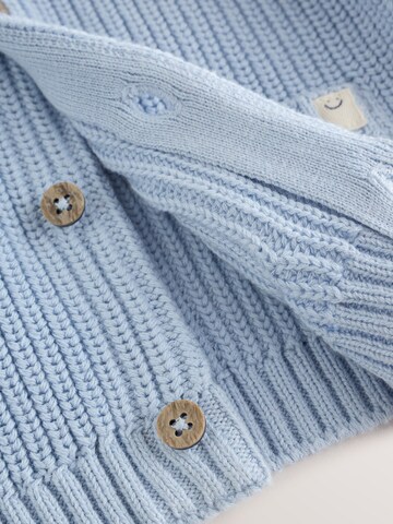 Next Gebreid vest in Blauw
