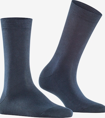 FALKE Socks 'Family' in Blue: front