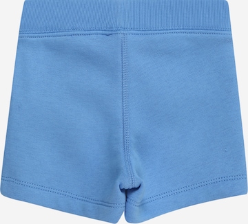 GAP Regular Shorts in Blau