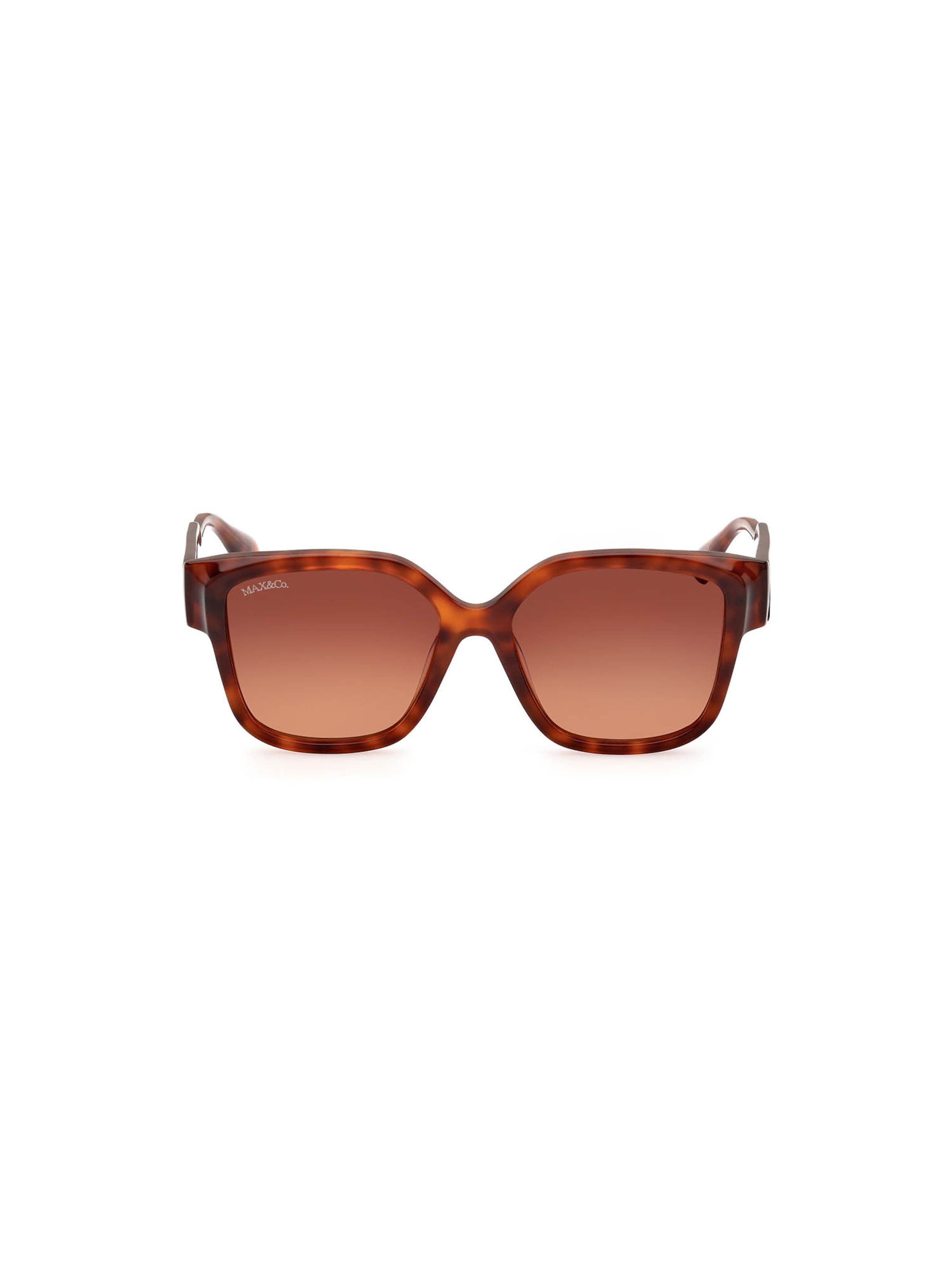 MAX&Co. Sunglasses in Brown: front