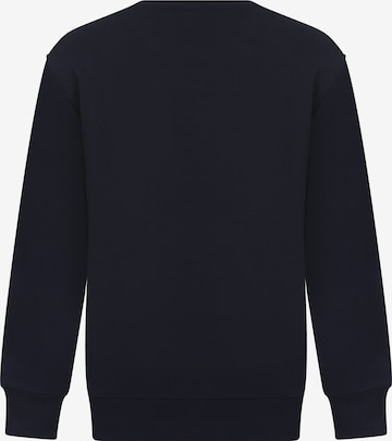 DENIM CULTURESweater majica 'Felicity' - plava boja