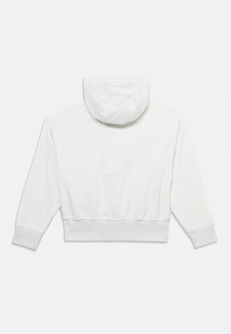 Jordan Zip-Up Hoodie 'FIRESIDE' in Grey: back