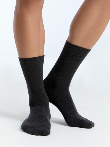 Albero Natur Socks 'Bio-Baumwoll-Socken mit längerem Bündchen - 4er Pack' in Grey: front