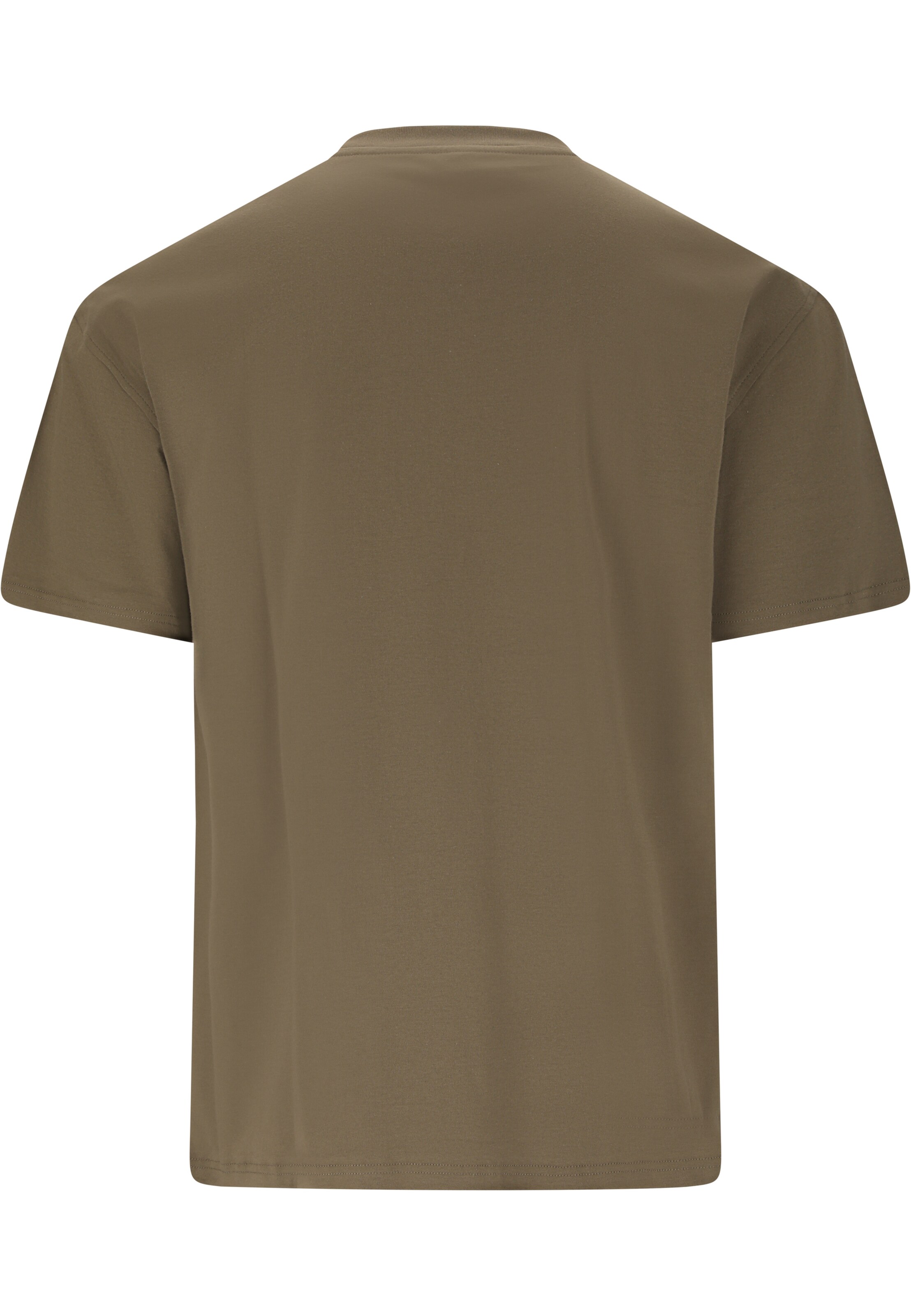 Virtus T-Shirt 'Roake V2' in Braun