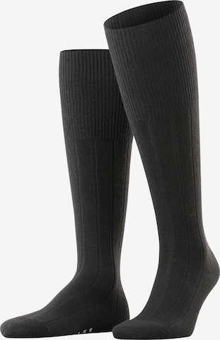 FALKE Knee High Socks 'Lhasa Rib' in Black: front