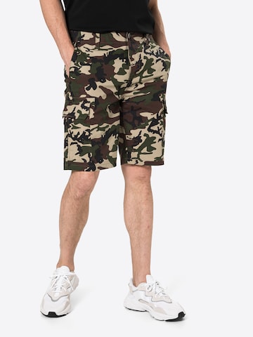 DICKIES Regular Shorts in Grün: predná strana