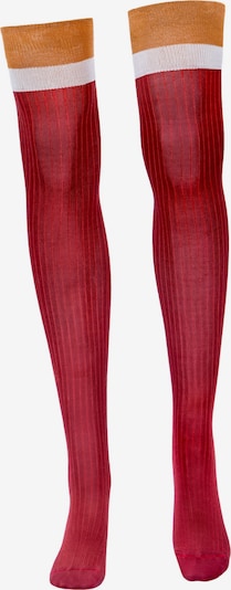 TOO HOT TO HIDE Overknee Strümpfe 'NANDA'S OVERKNEE' in rot, Produktansicht